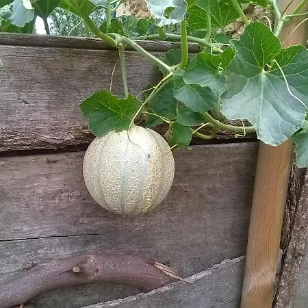 Bed & Breakfast Ancienne Ecole Cazaux-Villecomtal