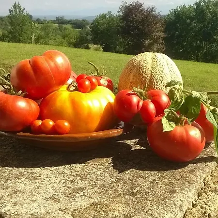 Ancienne Ecole לינה וארוחת בוקר 3*